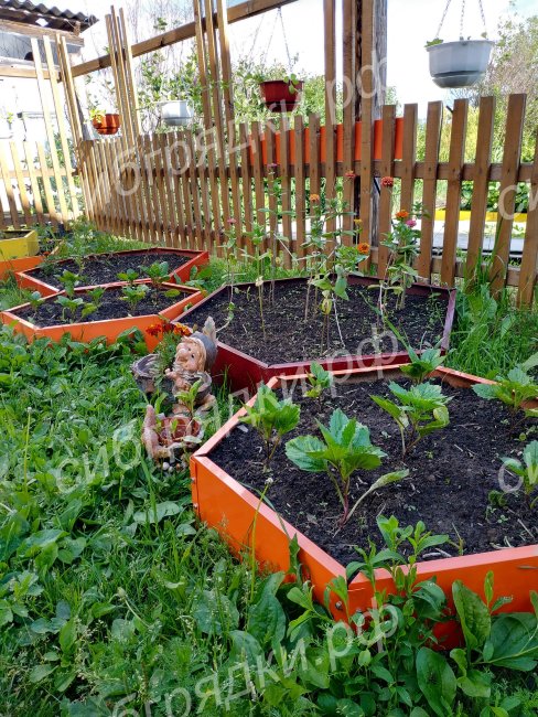 Клумба "Сота" 300 в Нижнем Новгороде Клумба "Сота" 300 в Нижнем Новгороде